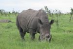 safrica_dec_13_image33.jpg